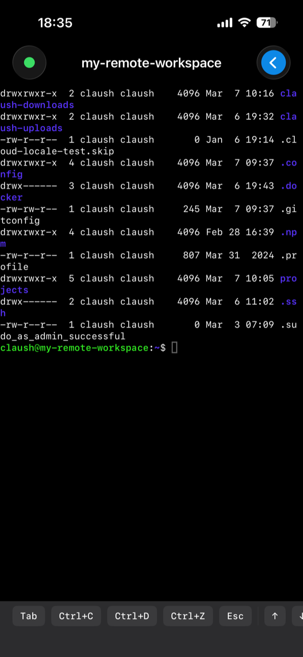 ターミナル画面