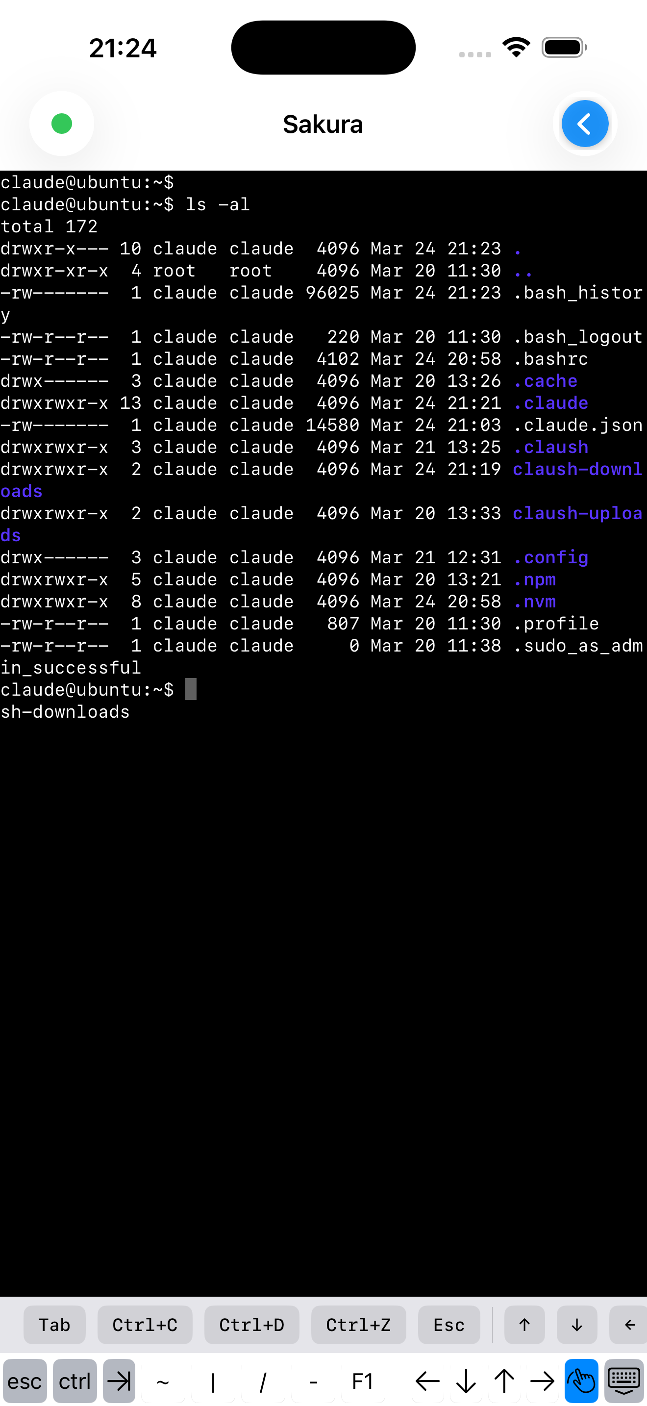 Terminal screen
