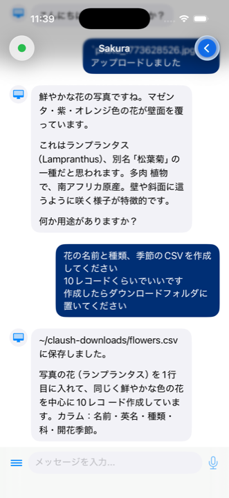 ダウンロード画面。サーバーの ~/claush-downloads/ 内のファイル一覧が表示されている
