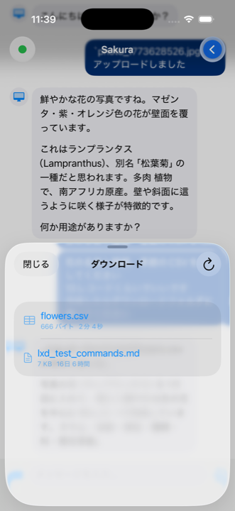 ダウンロード完了。共有シートが表示され、ファイルを他のアプリに送ったり保存できる
